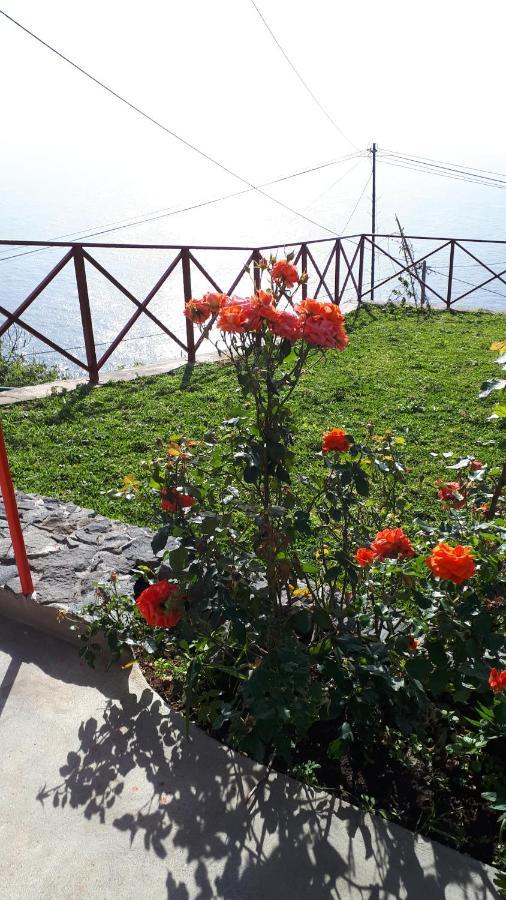 Casa Villa Dinastia Sotao Y Casa Villa Dinastia Miramar Ribeira Brava Exteriör bild