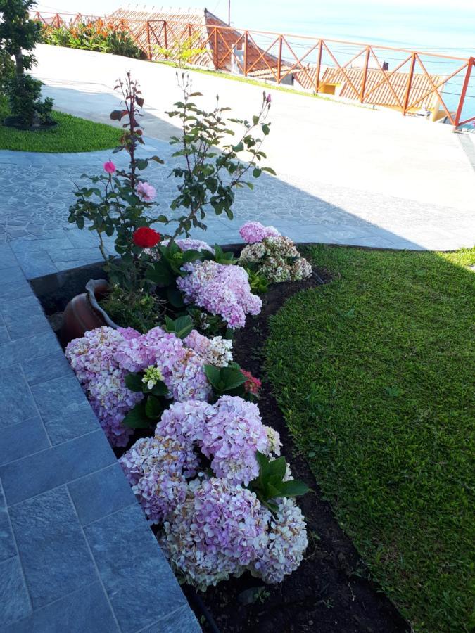 Casa Villa Dinastia Sotao Y Casa Villa Dinastia Miramar Ribeira Brava Exteriör bild