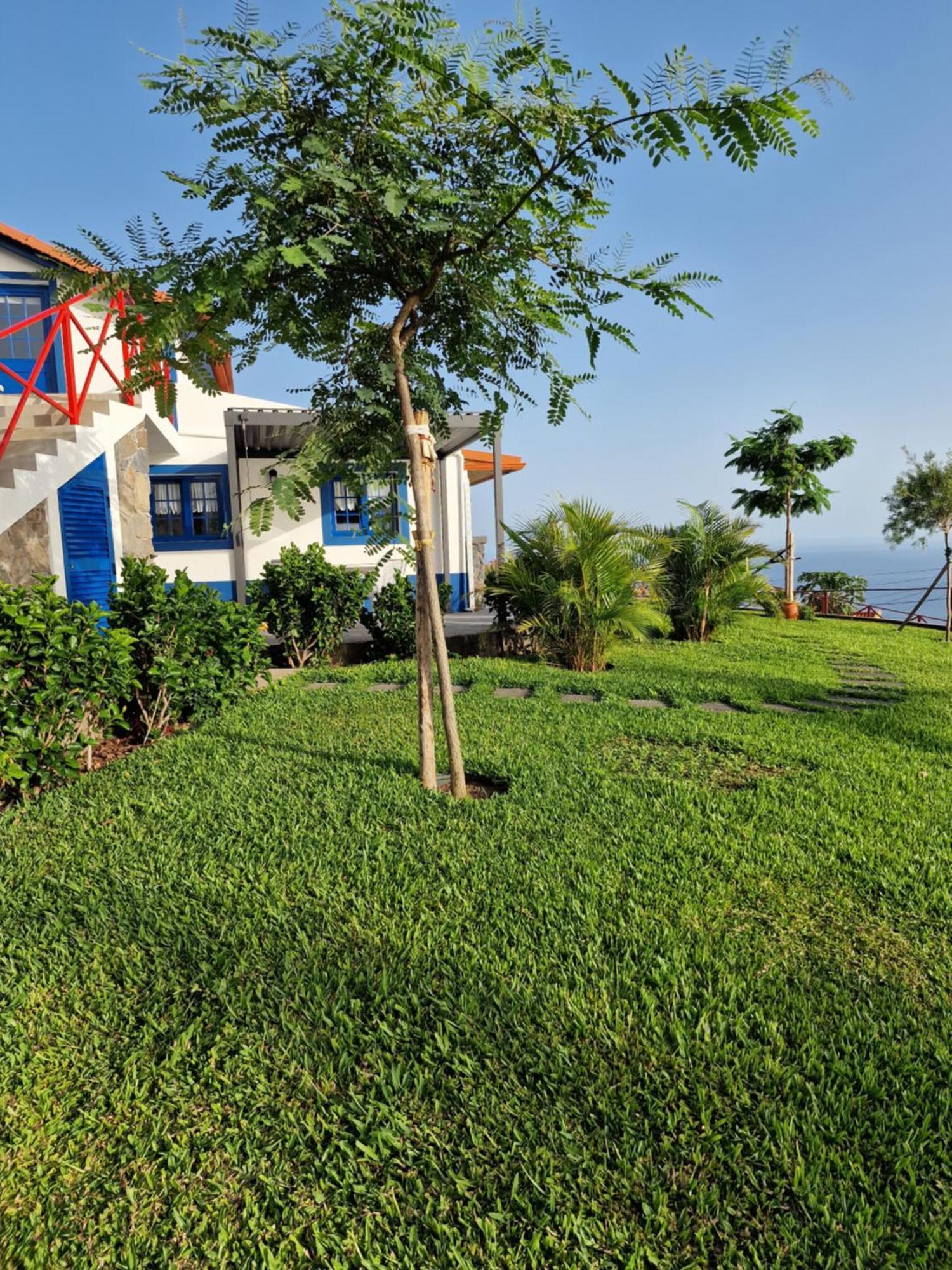 Casa Villa Dinastia Sotao Y Casa Villa Dinastia Miramar Ribeira Brava Exteriör bild